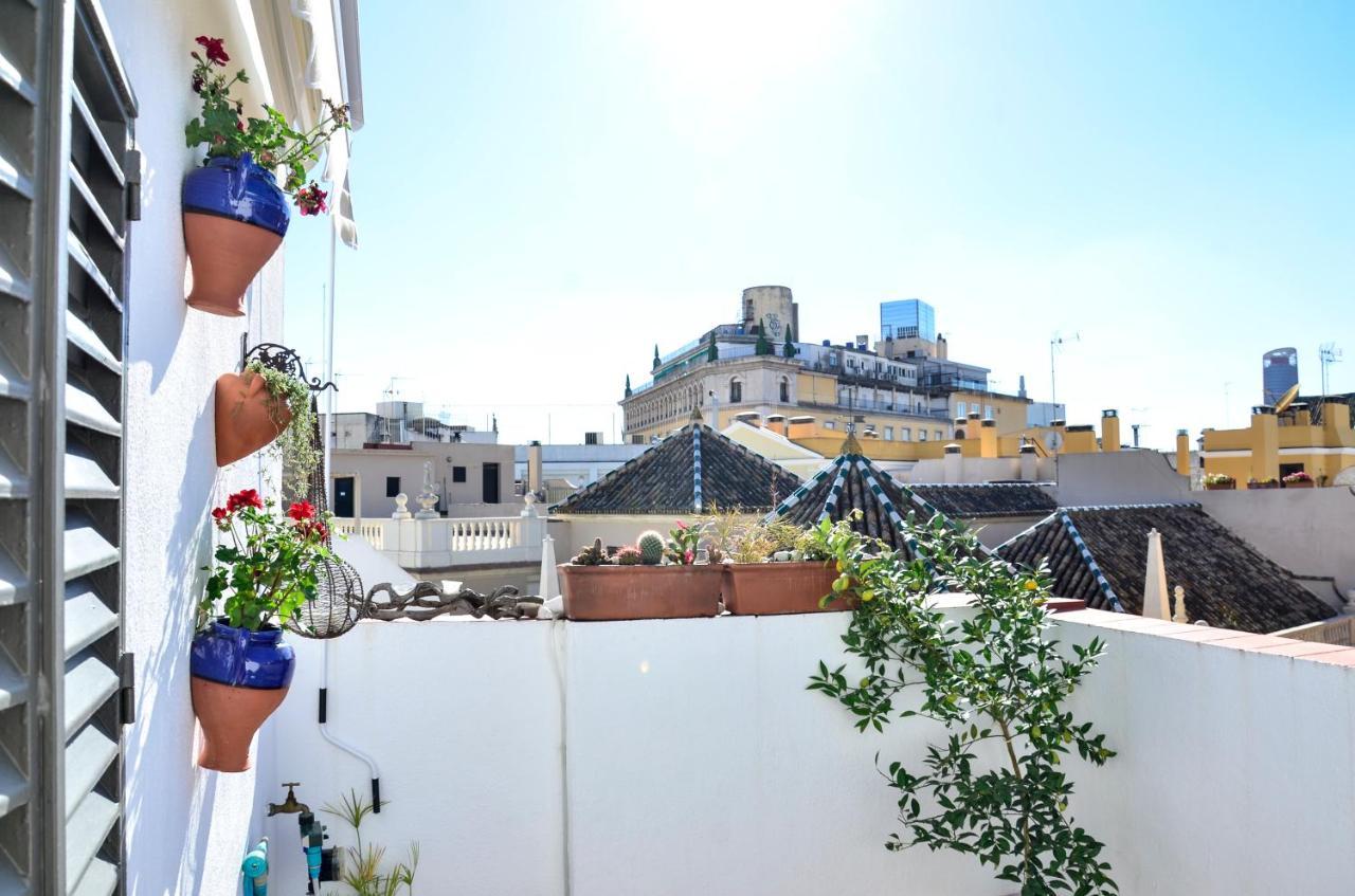 Alohamundi Campana Seville