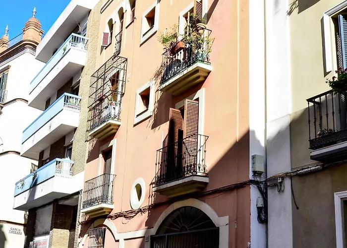 Alohamundi Campana