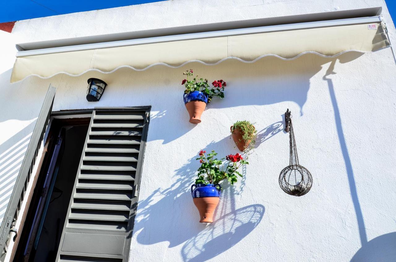 Appartement Alohamundi Campana Séville